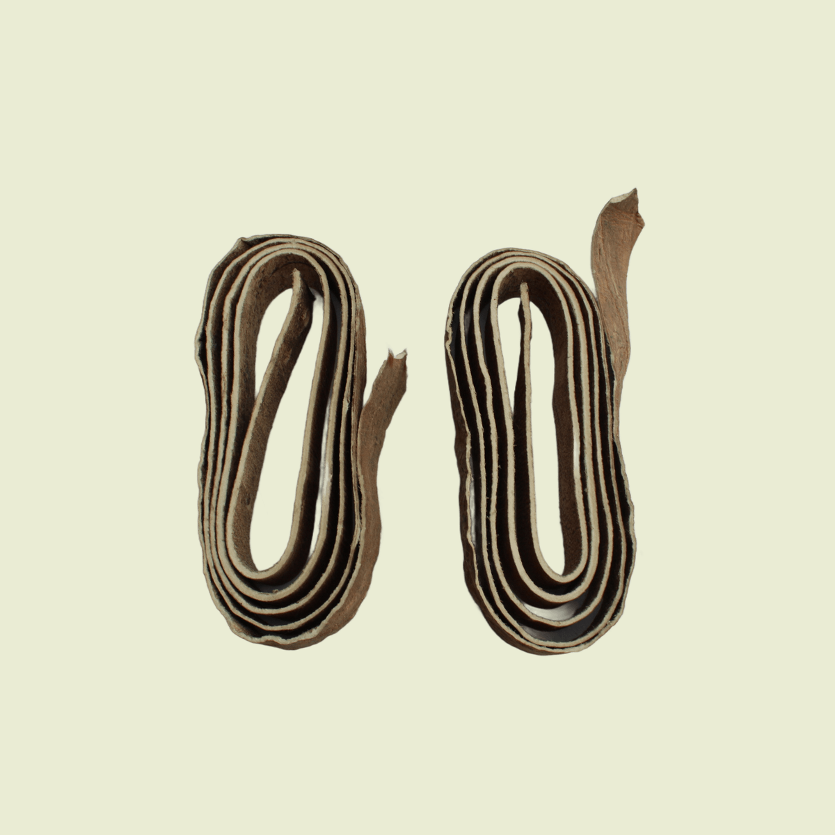 Spur Straps (Correones)