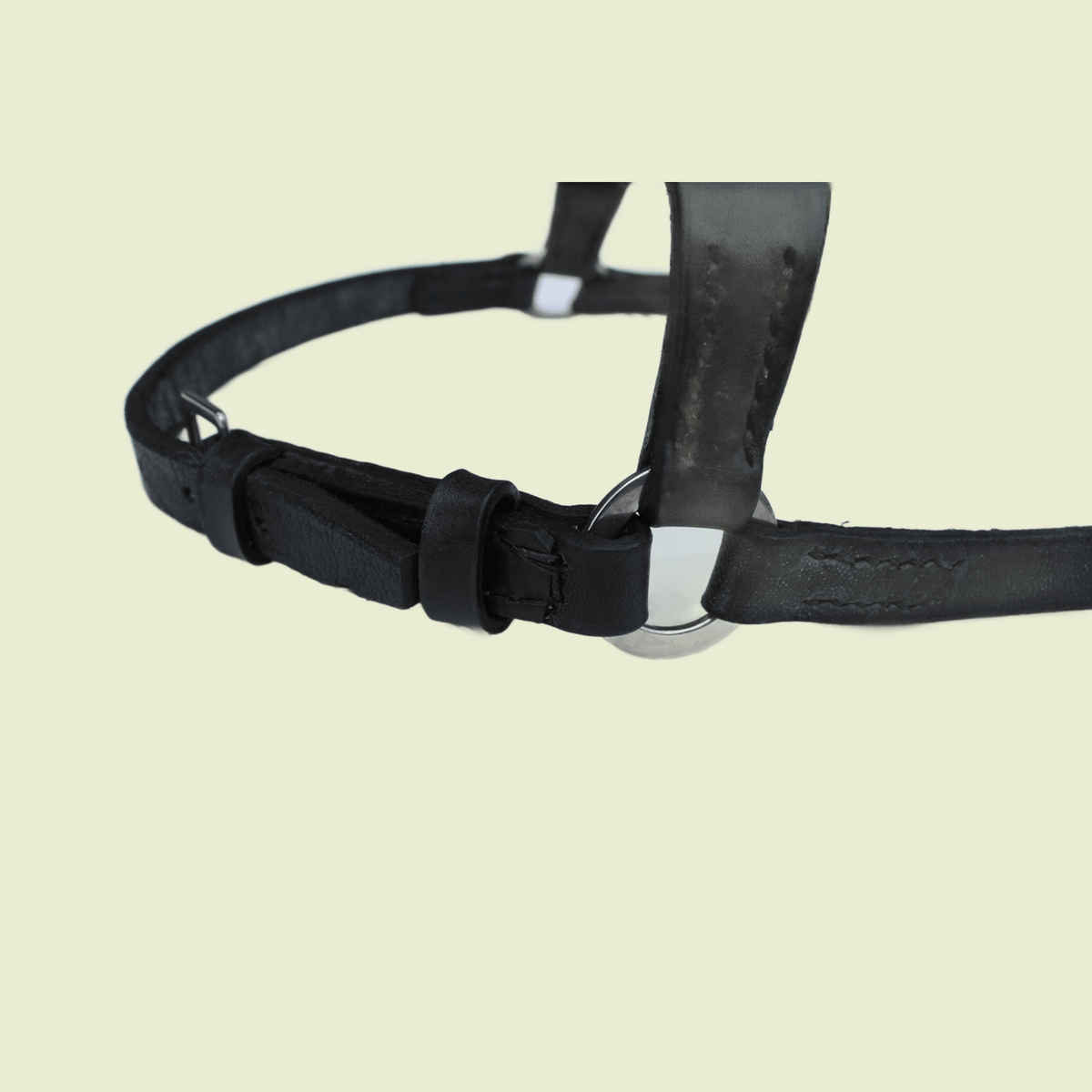 Flash Noseband