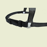 Flash Noseband