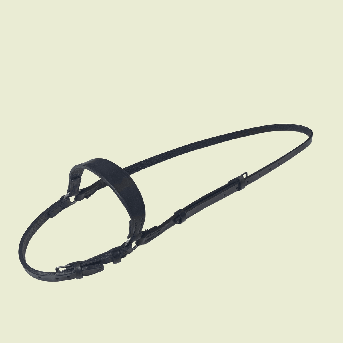 Flash Noseband