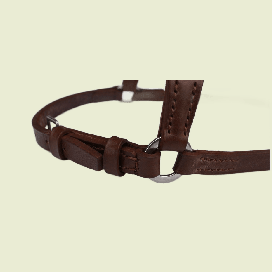 Flash Noseband