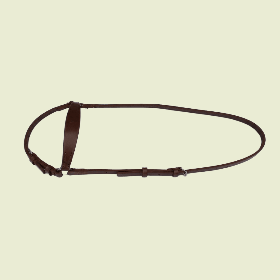 Flash Noseband
