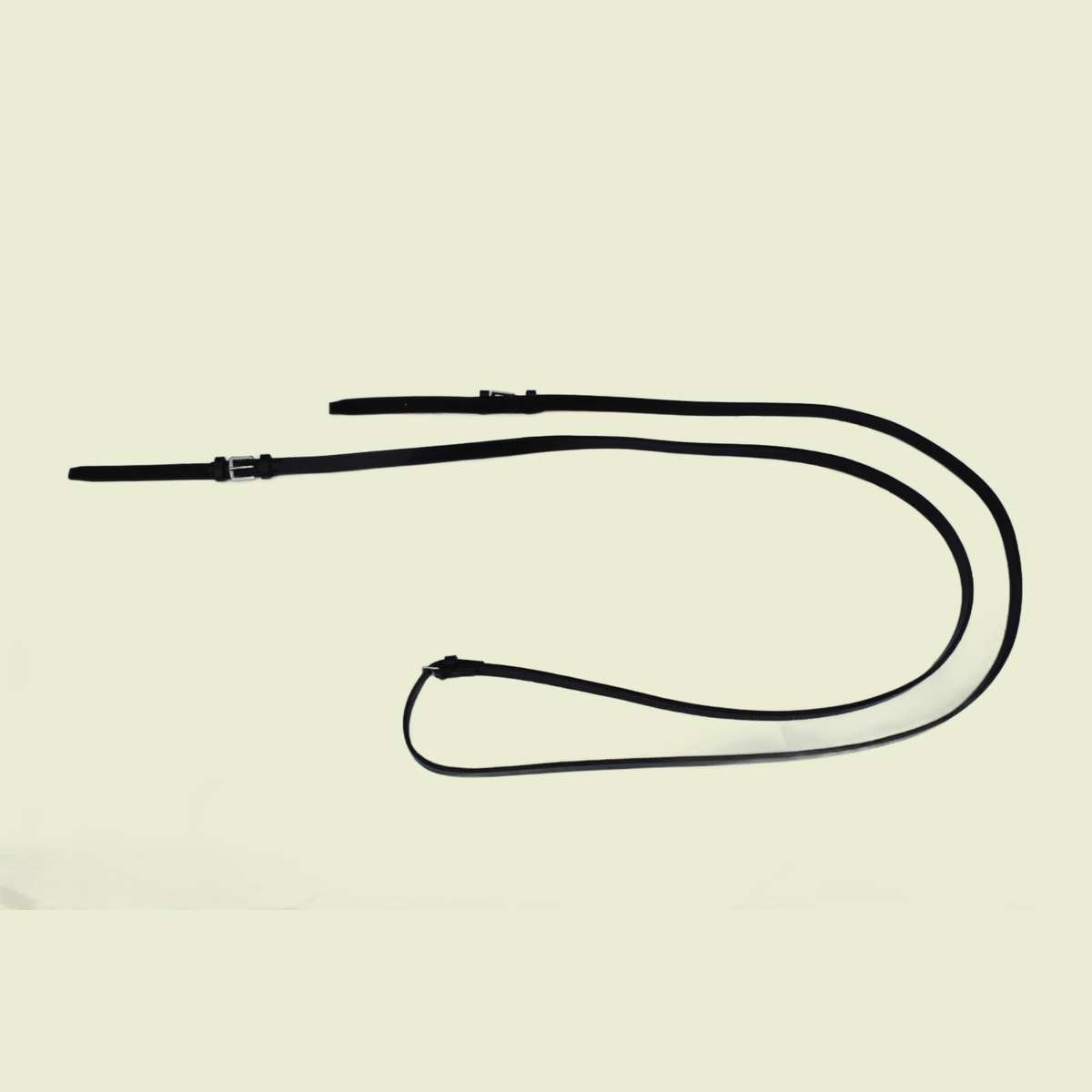 Reins
