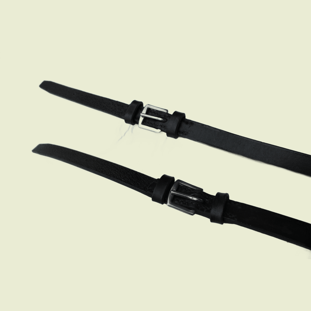 Reins