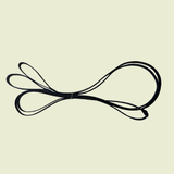 Draw Reins / Auxiliary Reins