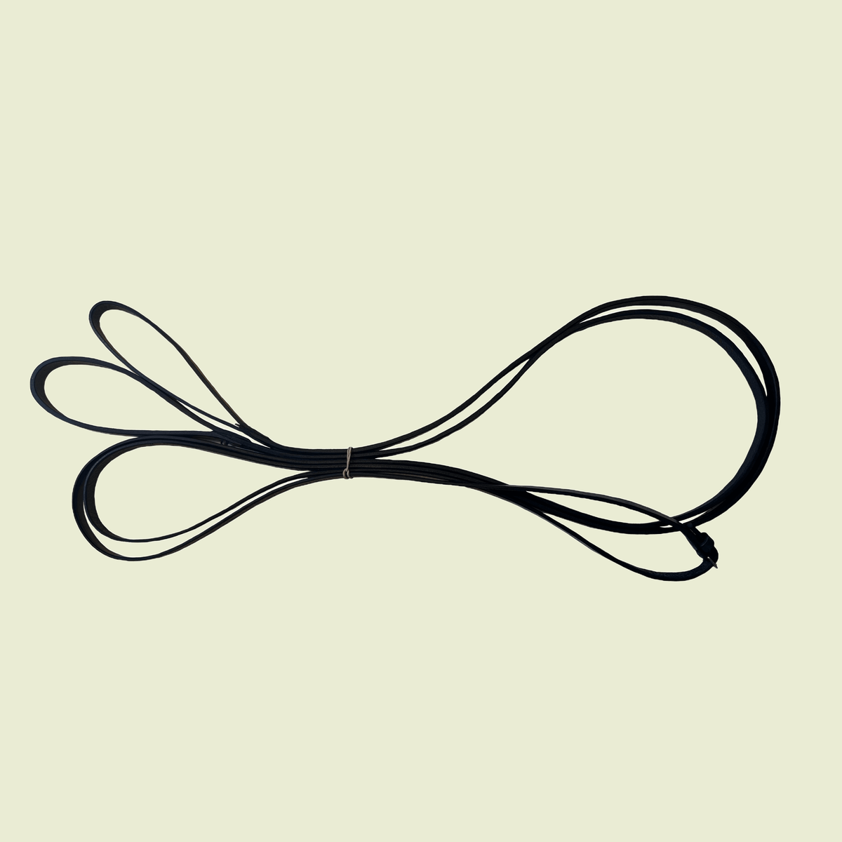 Draw Reins / Auxiliary Reins