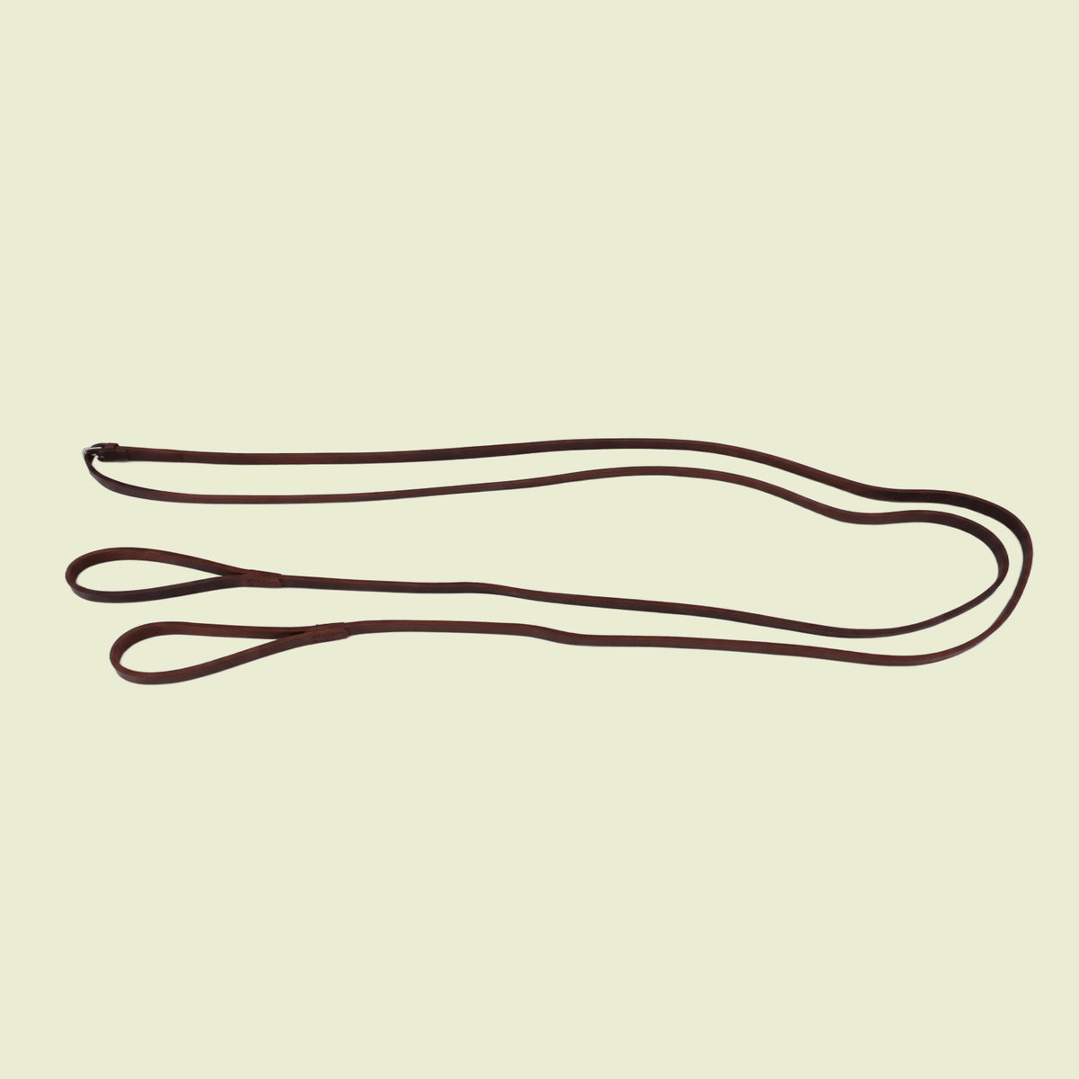 Draw Reins / Auxiliary Reins