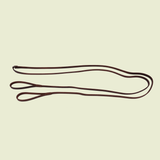 Draw Reins / Auxiliary Reins