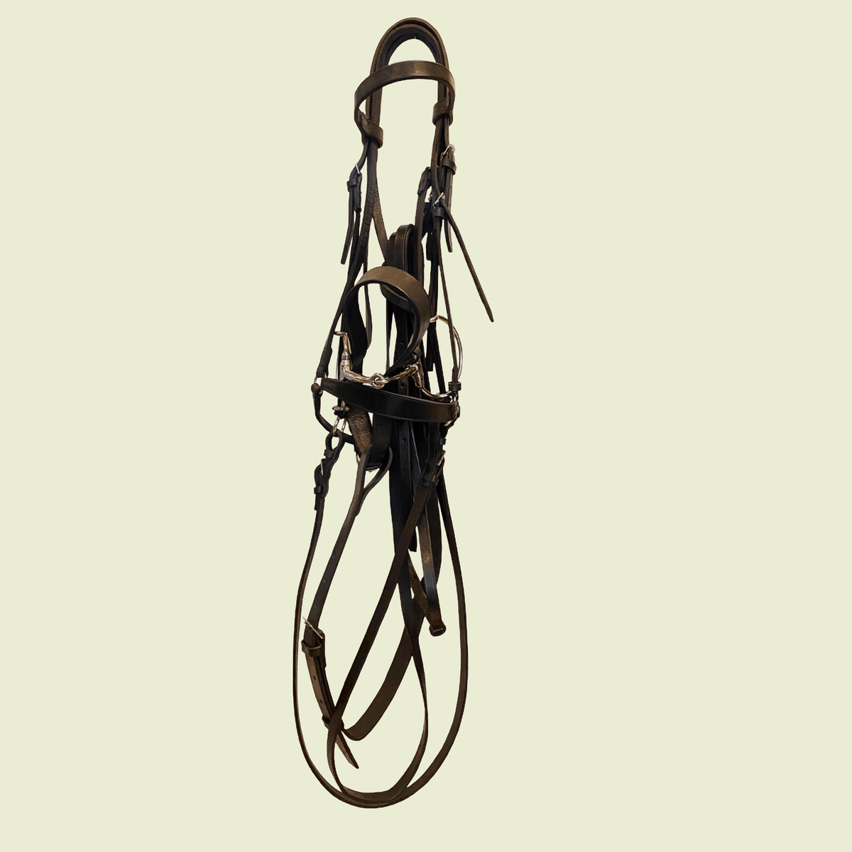 Complete Bridle