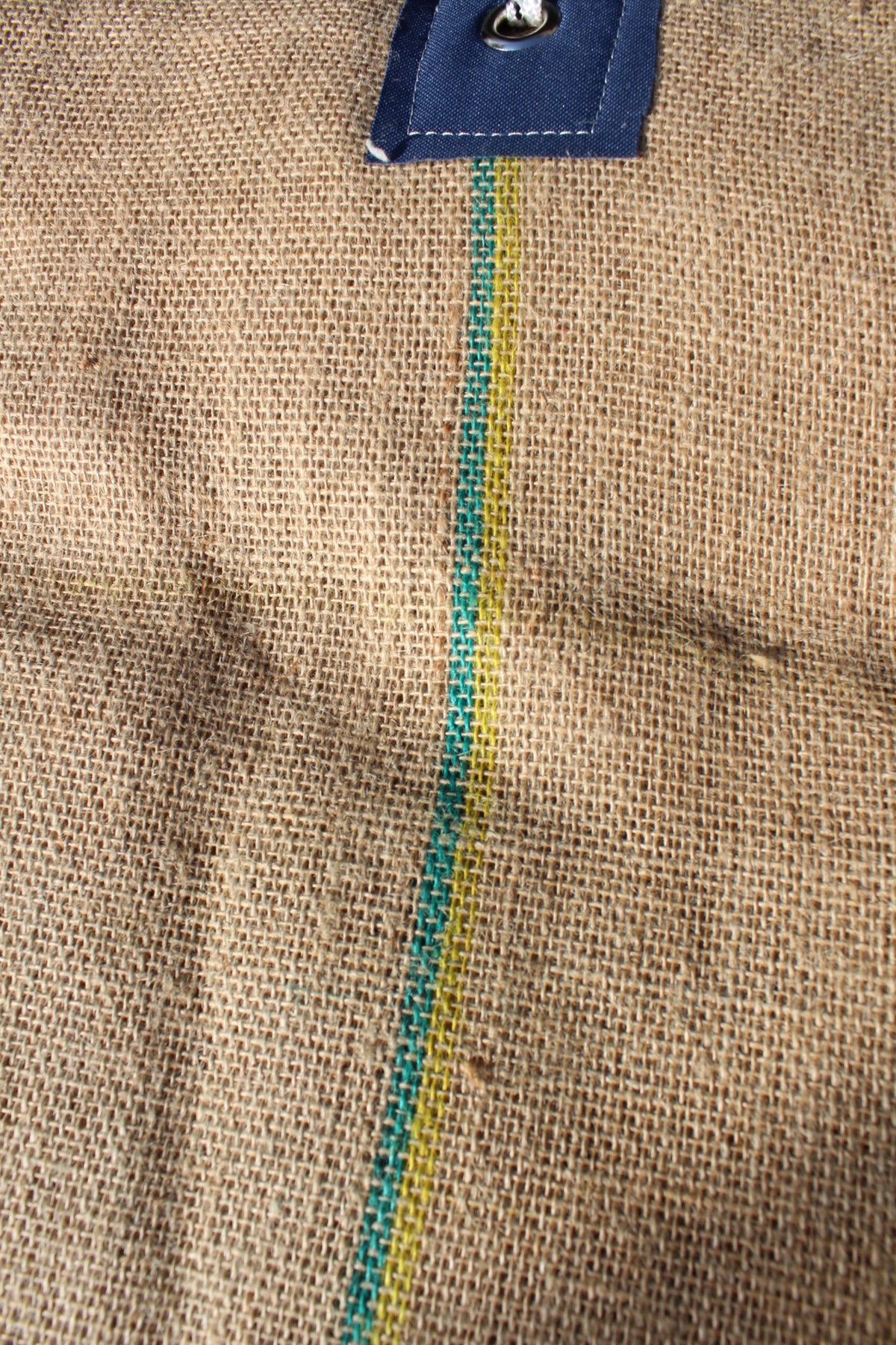 Horse Blanket