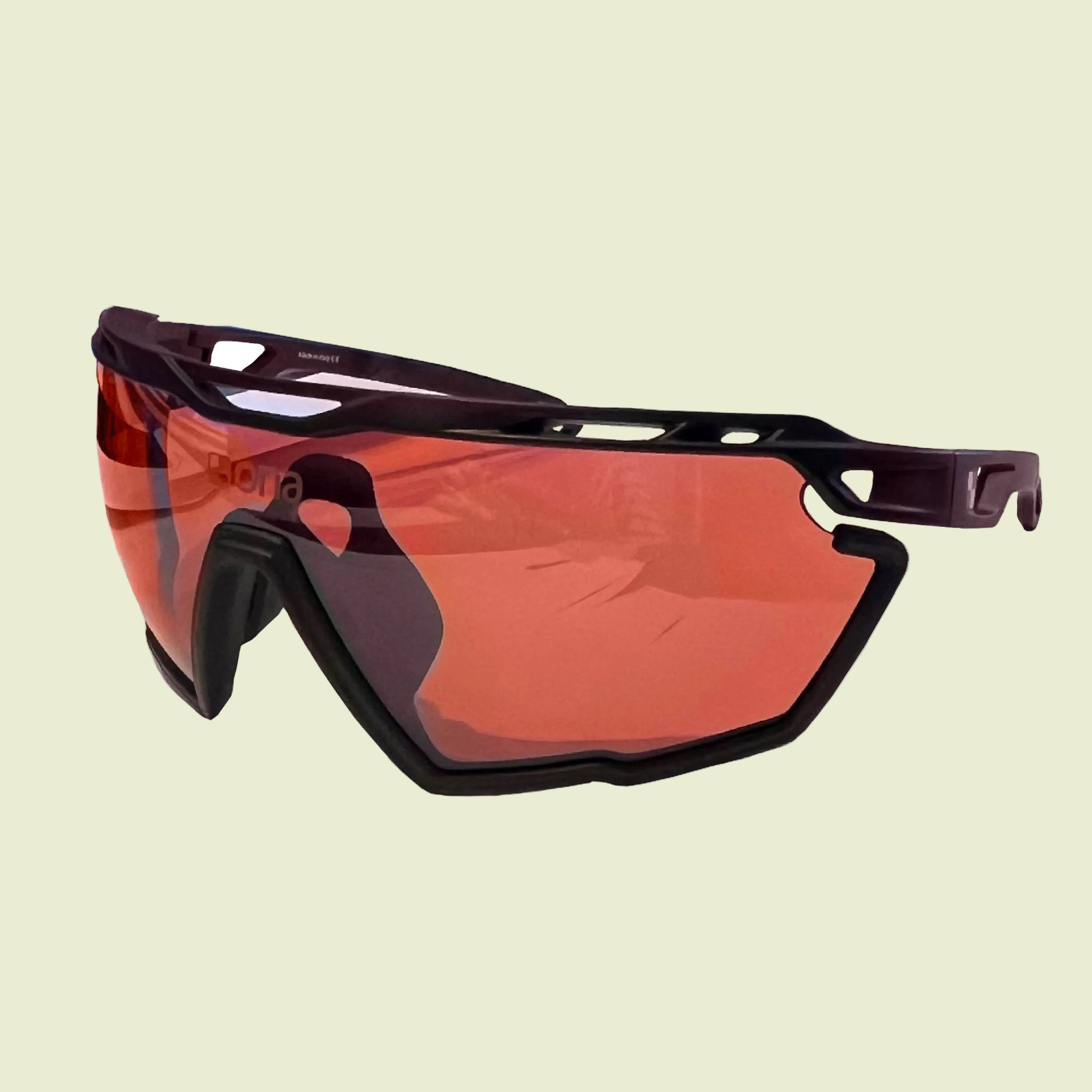 Polo Glasses