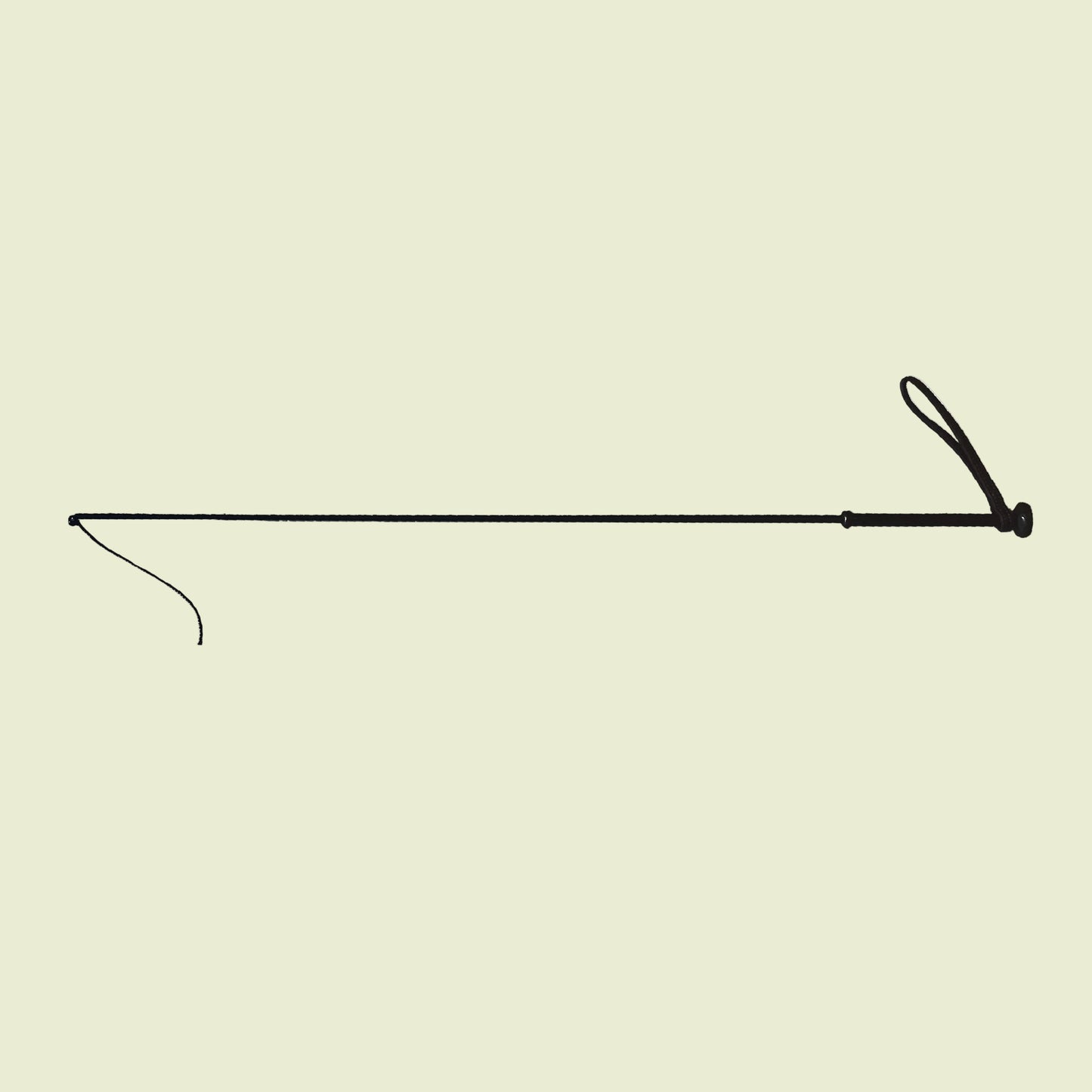 Riding Whip